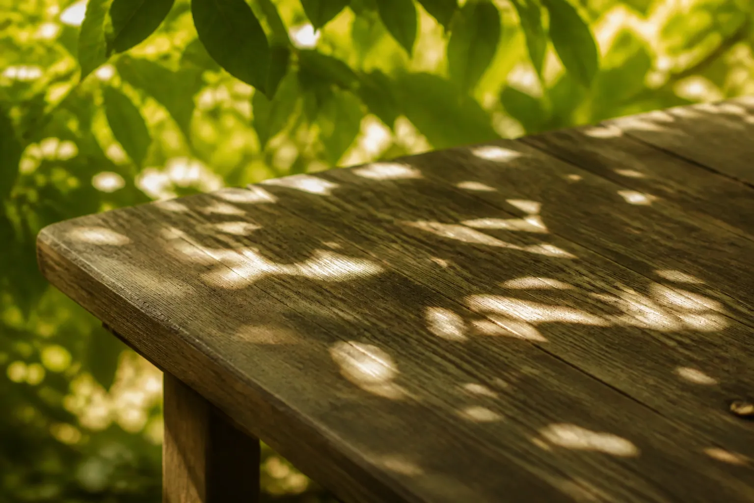 Sonnenlicht fällt durch Blätter auf eine Holztischplatte, Stimmungsbild